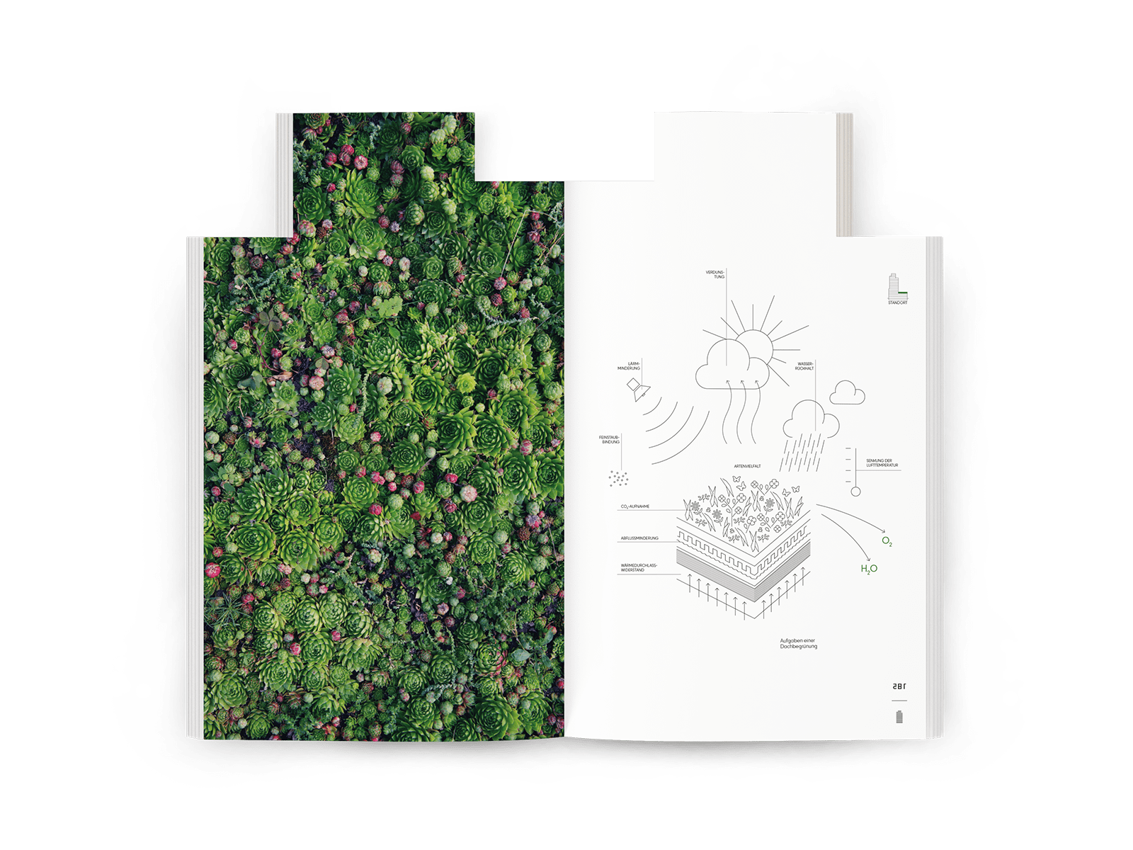 Eine Innenseite der Dokumentation. Links ein Bild mit bunten und grünen Pflanzen, rechst eine Illustration.