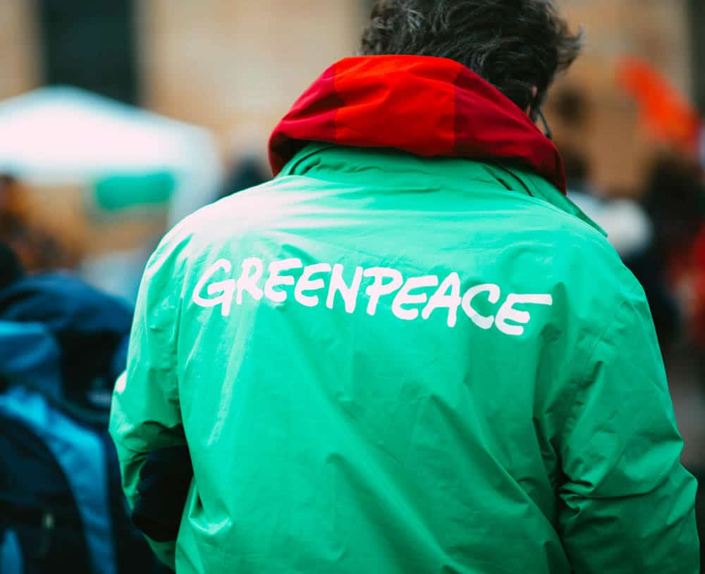 Beirtagsbild für den Impuls Beitrag der Strategieagentur POLARWERK aus Bremen, wie die Marke des NGOs Greenpeace Menschen begeistert und für die Ziele von Unternehmen und Marken bei der Gewinnung von Fachkräften und Personal helfen kann. 